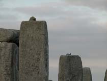 Stonehenge in October